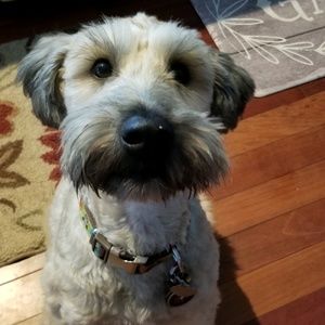 Meet your Posher, Cheri